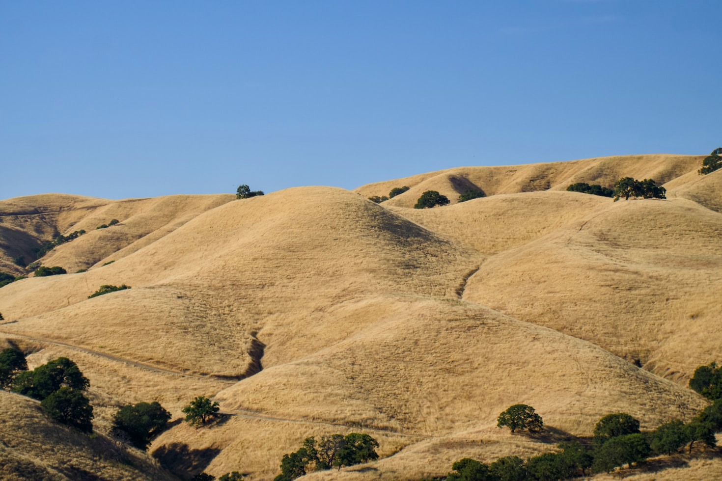 How to Enjoy Nature in Alameda County