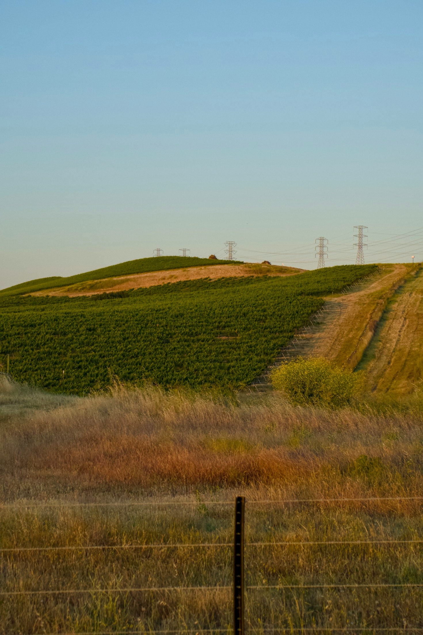 Wildlife Watching in Alameda County