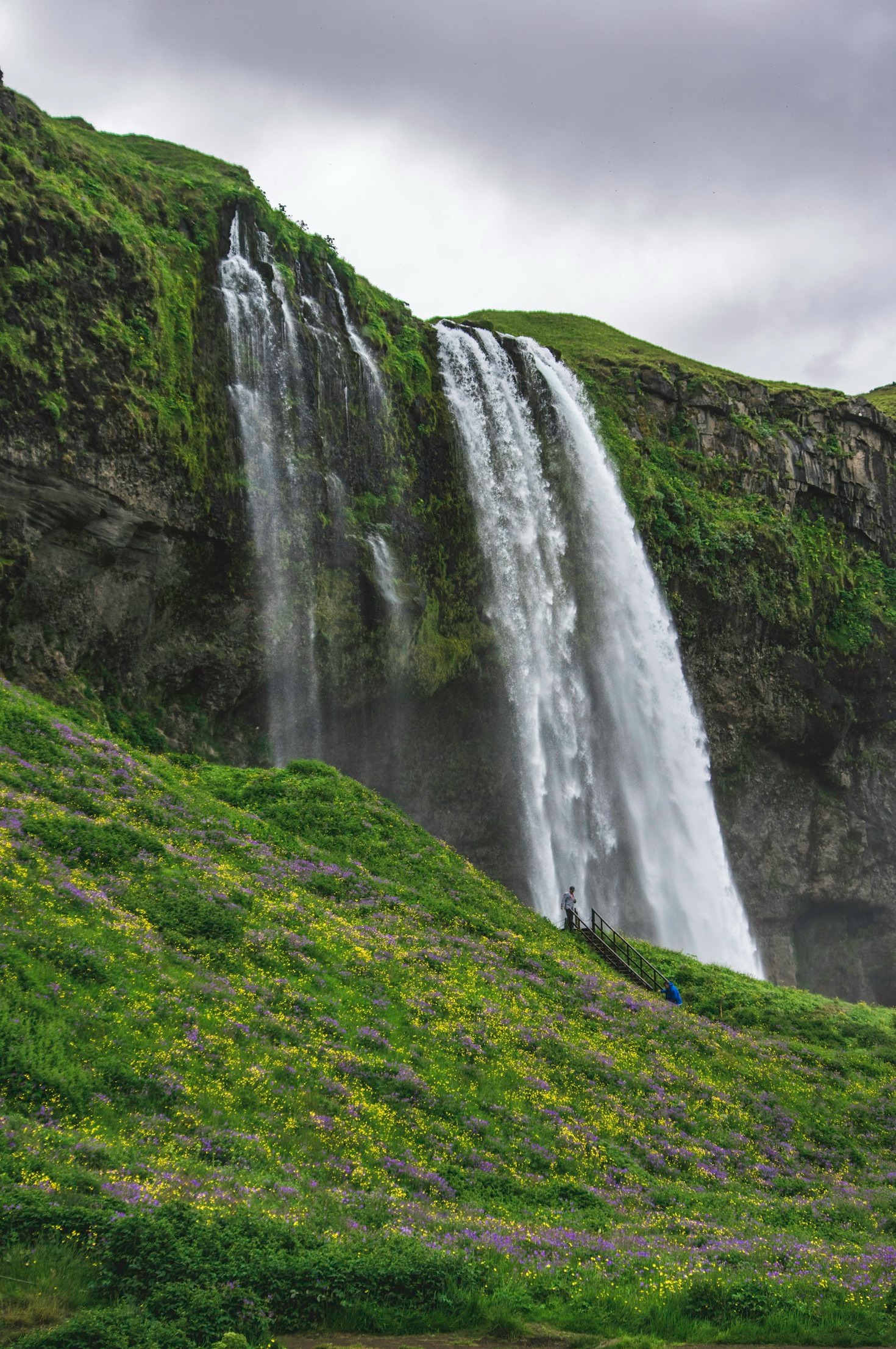 Seasonal Outdoor Experiences in Alameda